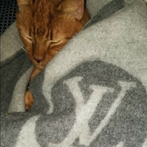 Meet your Posher, Kristina